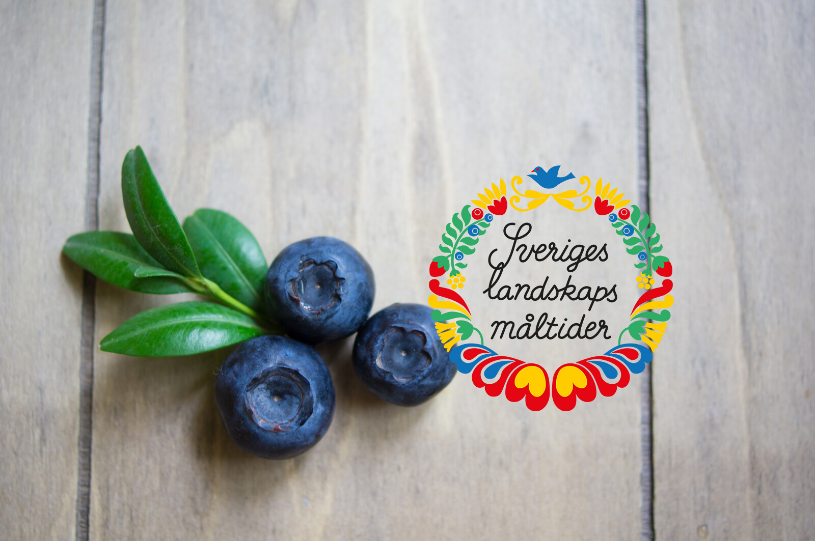 8900658-fresh-bilberries-landskapsmaltider 8900658-fresh-bilberries-landskapsmaltider